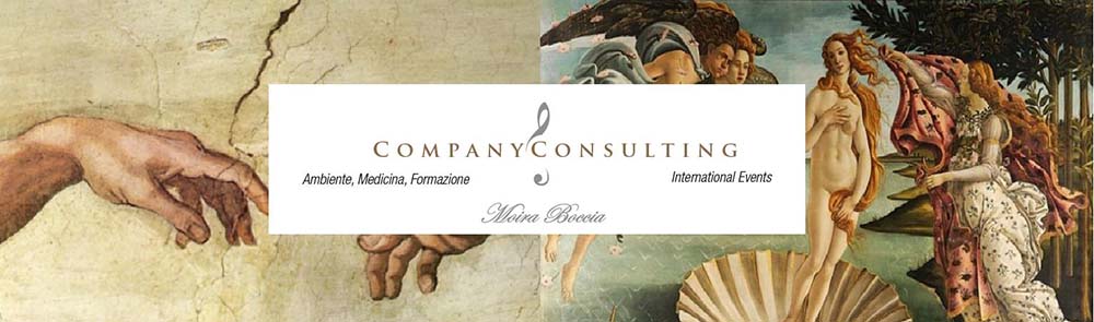 Company Consulting